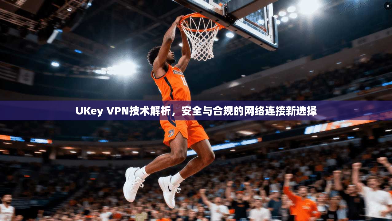 UKey VPN技术解析，安全与合规的网络连接新选择
