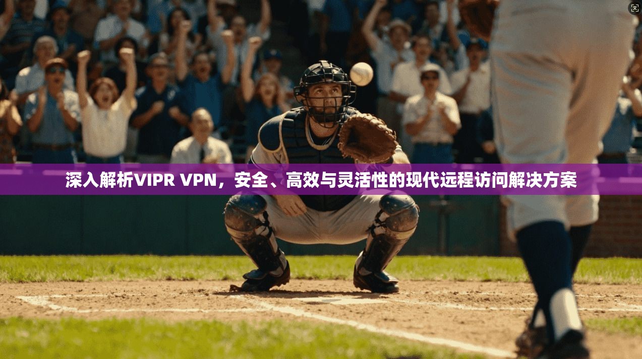 深入解析VIPR VPN,安全、高效与灵活性的现代远程访问解决方案 深入解析VIPR VPN,安全、高效与灵活性的现代远程访问解决方案