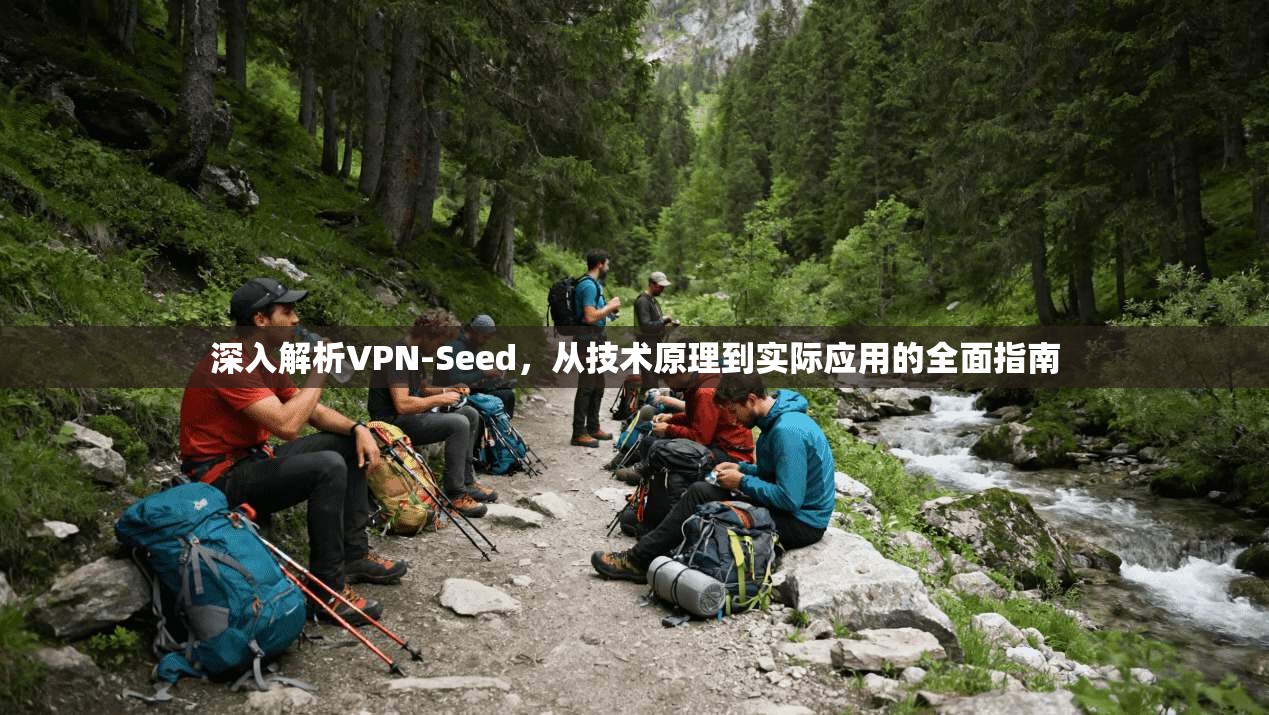 深入解析VPN-Seed，从技术原理到实际应用的全面指南