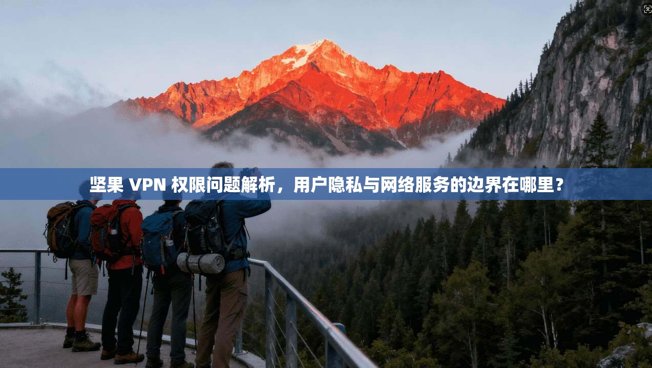 坚果 VPN 权限问题解析，用户隐私与网络服务的边界在哪里？