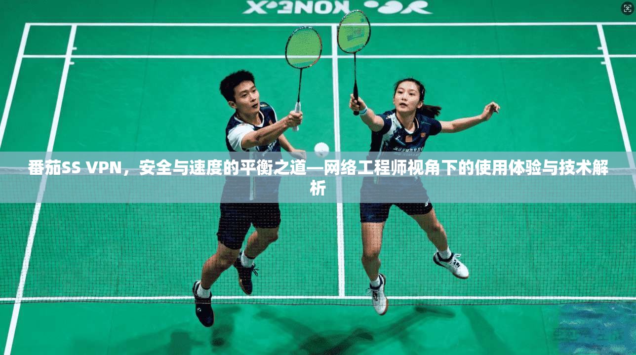 番茄SS VPN，安全与速度的平衡之道—网络工程师视角下的使用体验与技术解析