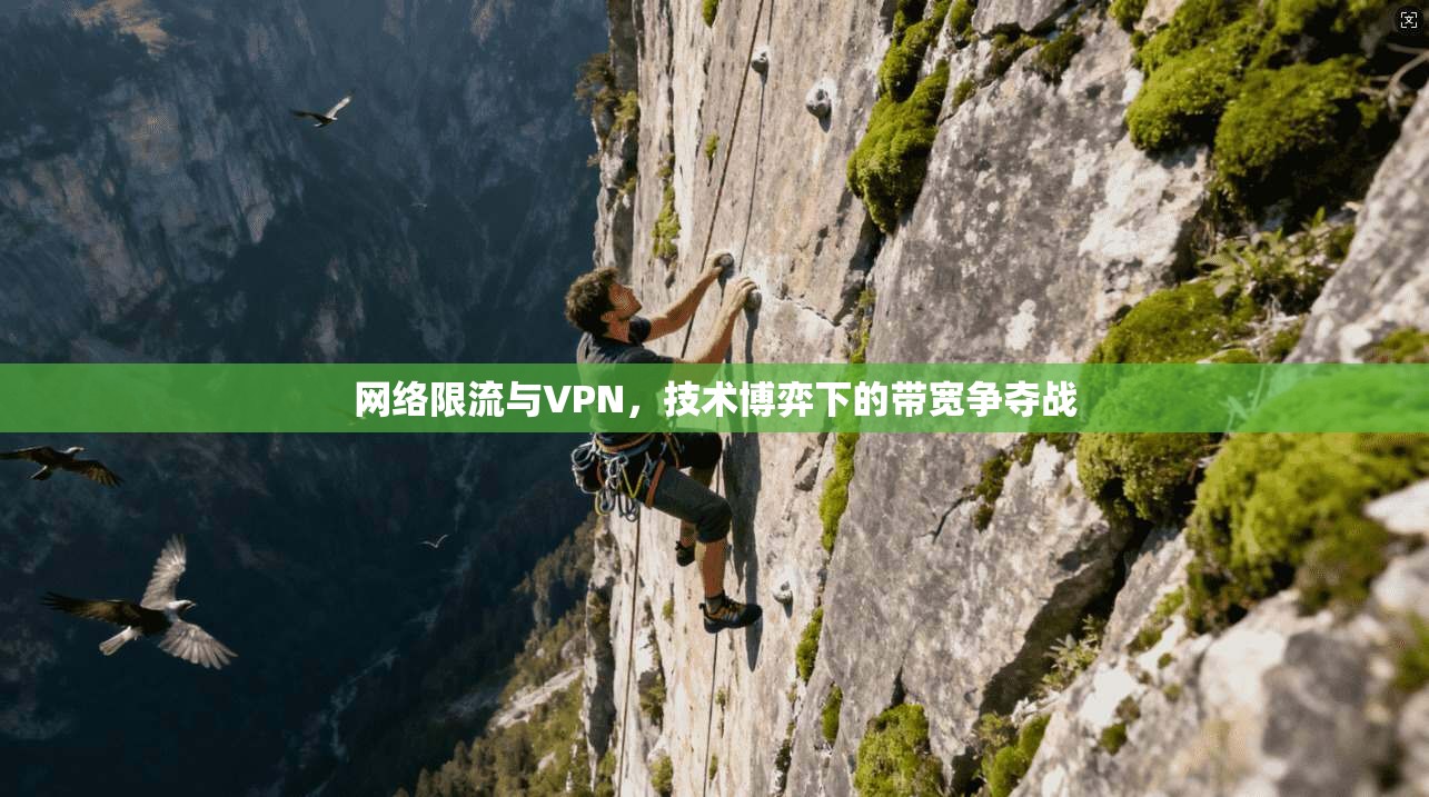 网络限流与VPN，技术博弈下的带宽争夺战