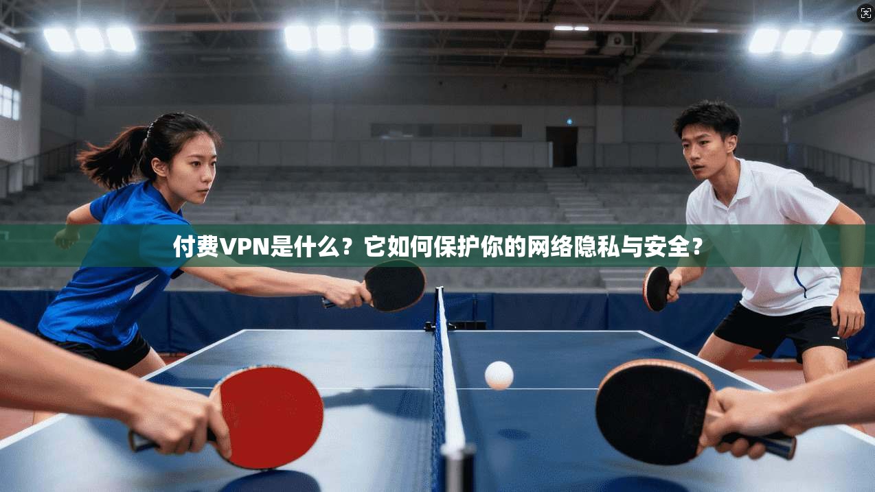 付费VPN是什么？它如何保护你的网络隐私与安全？