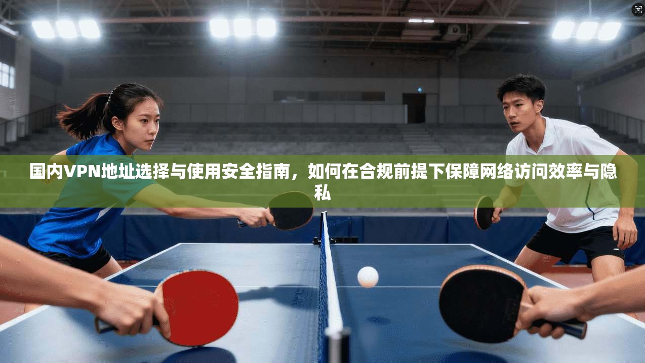 国内VPN地址选择与使用安全指南，如何在合规前提下保障网络访问效率与隐私