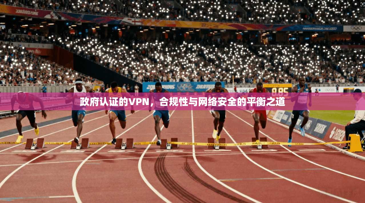政府认证的VPN，合规性与网络安全的平衡之道
