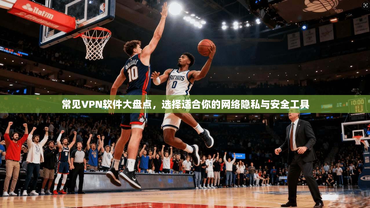 常见VPN软件大盘点，选择适合你的网络隐私与安全工具