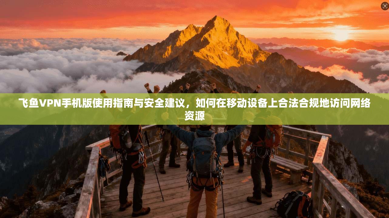 飞鱼VPN手机版使用指南与安全建议，如何在移动设备上合法合规地访问网络资源