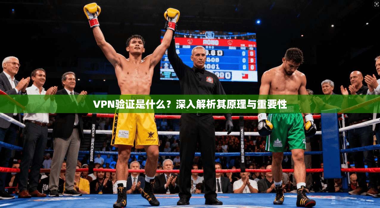 VPN验证是什么?深入解析其原理与重要性 VPN验证是什么?深入解析其原理与重要性
