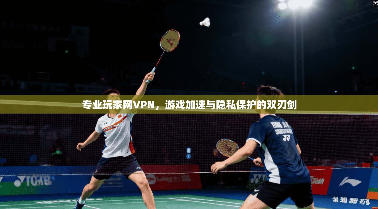 专业玩家网VPN,游戏加速与隐私保护的双刃剑 专业玩家网VPN,游戏加速与隐私保护的双刃剑