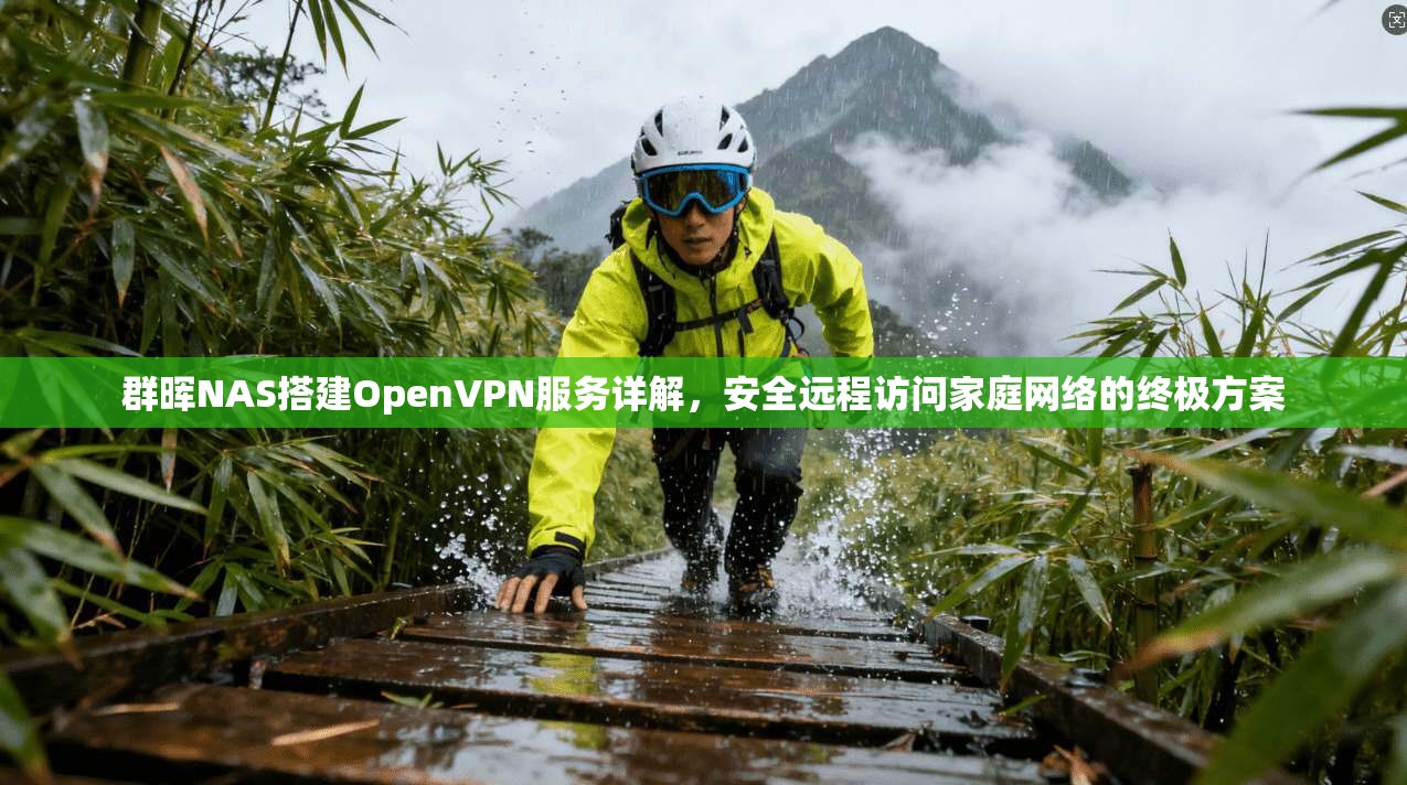 群晖NAS搭建OpenVPN服务详解,安全远程访问家庭网络的终极方案 群晖NAS搭建OpenVPN服务详解,安全远程访问家庭网络的终极方案