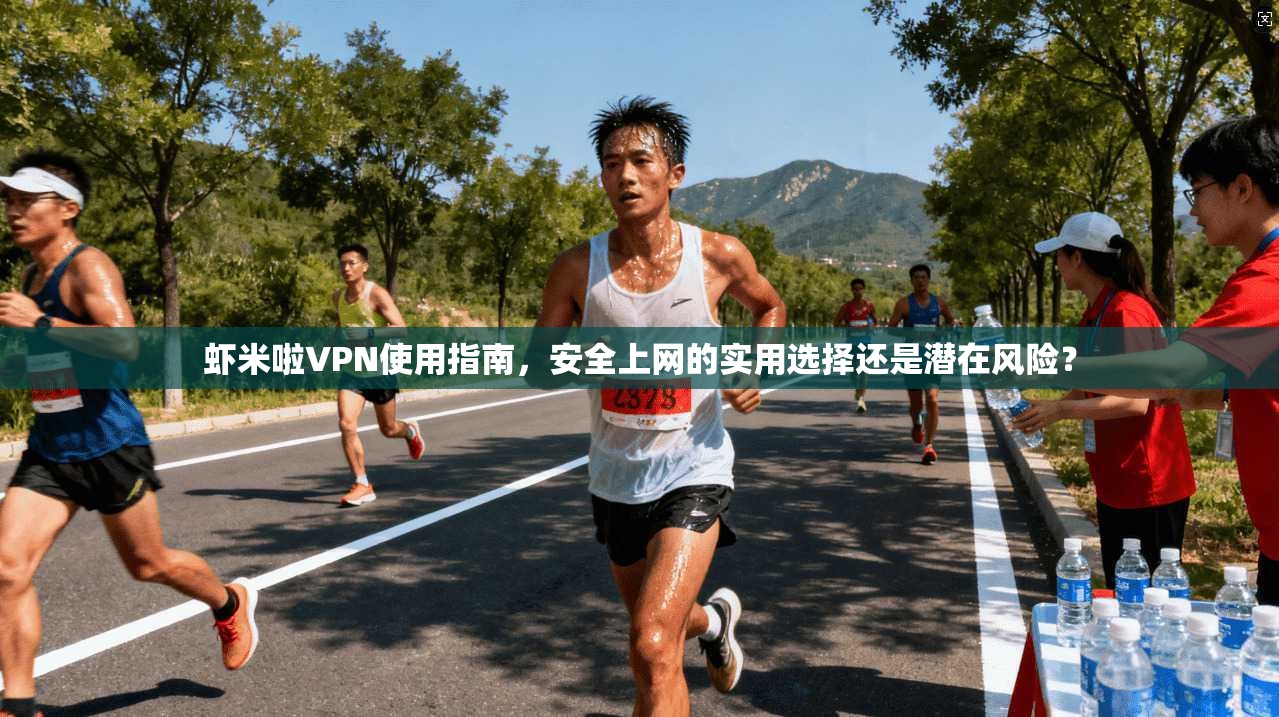 虾米啦VPN使用指南，安全上网的实用选择还是潜在风险？