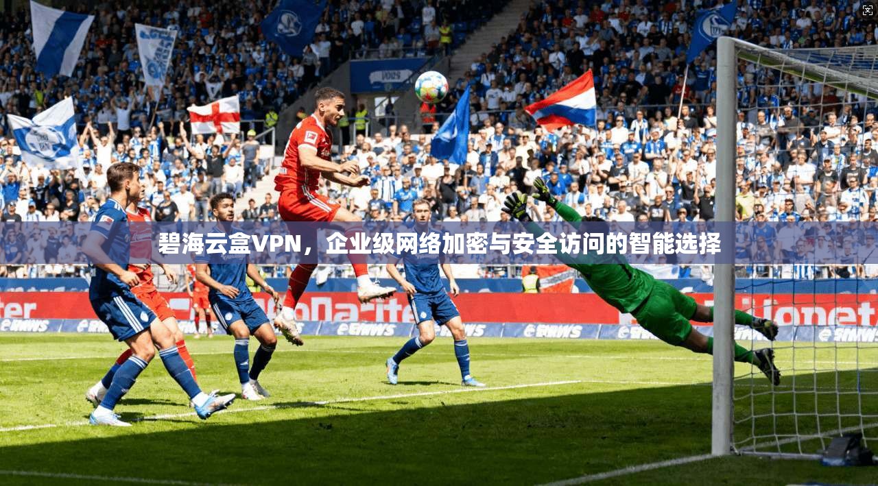 碧海云盒VPN,企业级网络加密与安全访问的智能选择 碧海云盒VPN,企业级网络加密与安全访问的智能选择