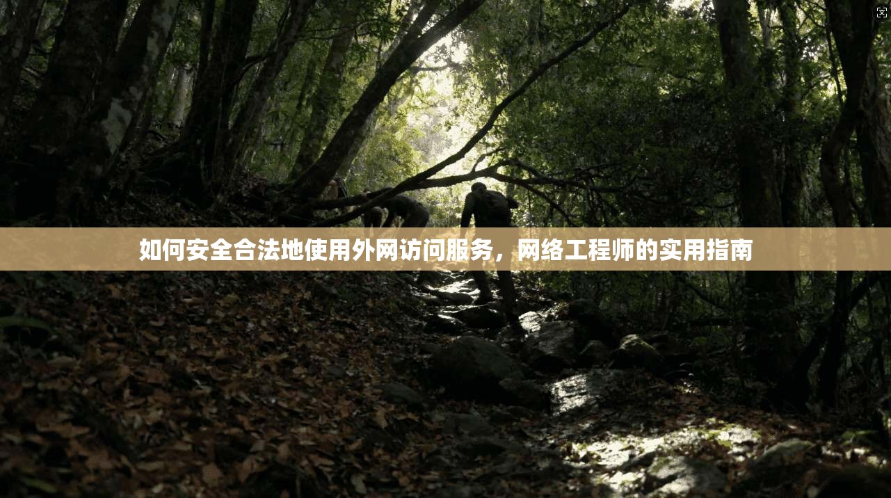 如何安全合法地使用外网访问服务，网络工程师的实用指南