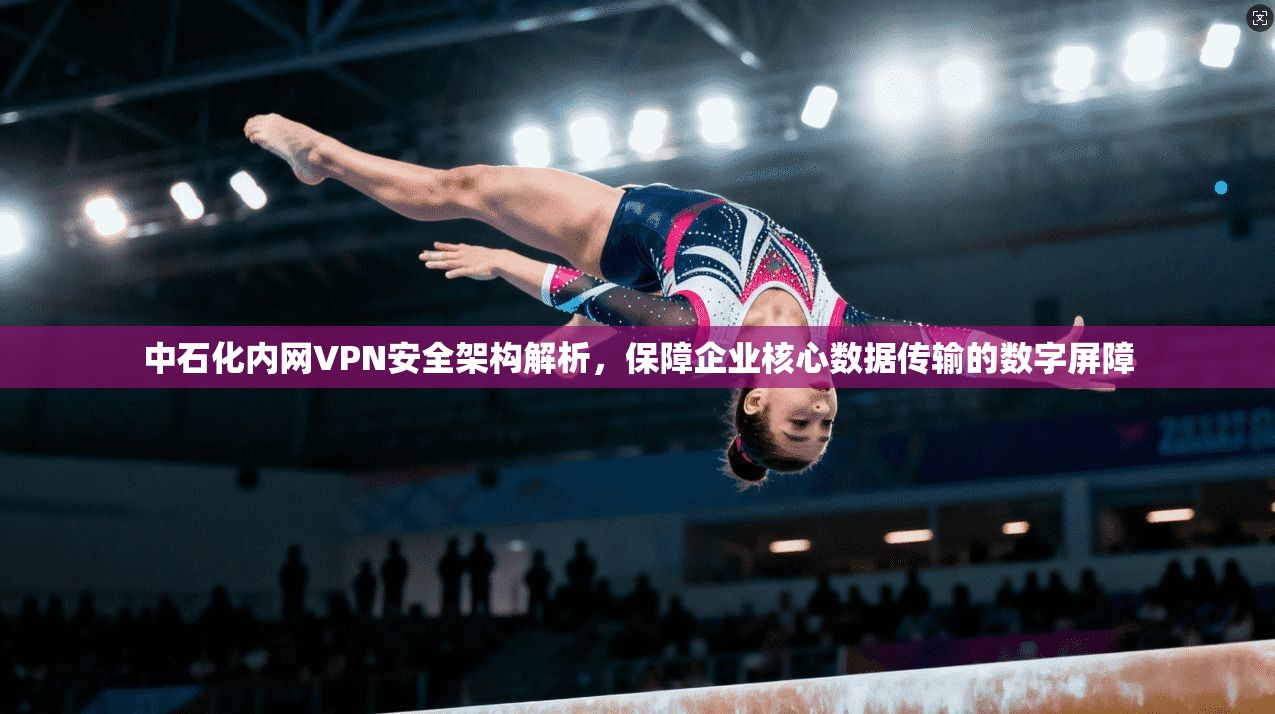 中石化内网VPN安全架构解析，保障企业核心数据传输的数字屏障