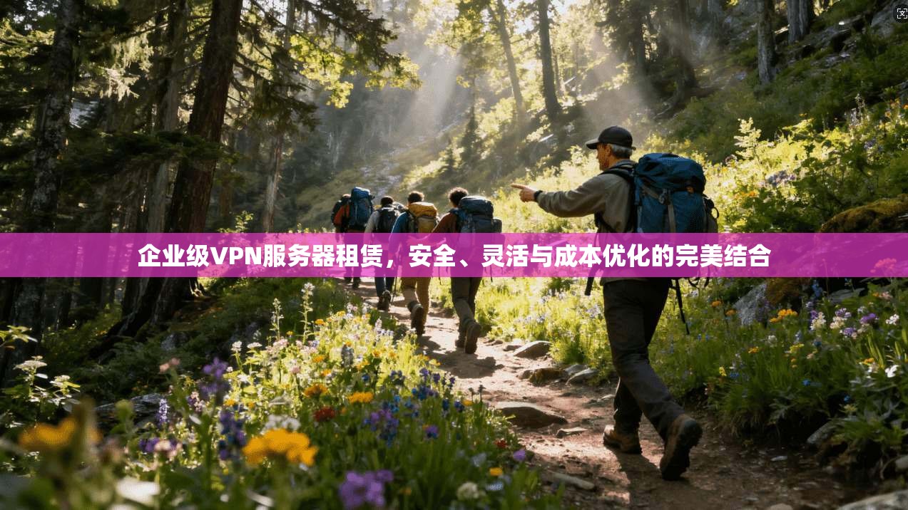 企业级VPN服务器租赁，安全、灵活与成本优化的完美结合