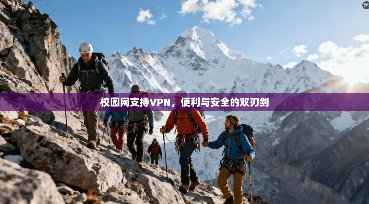 校园网支持VPN，便利与安全的双刃剑