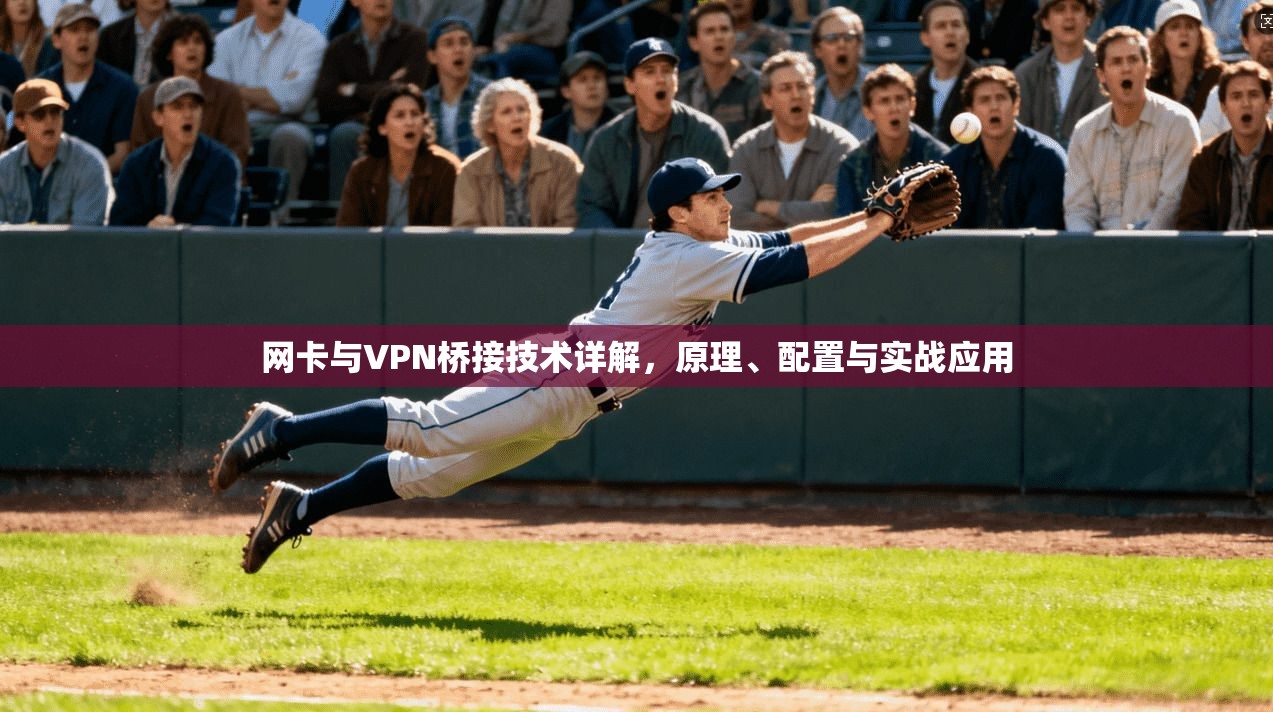 网卡与VPN桥接技术详解，原理、配置与实战应用