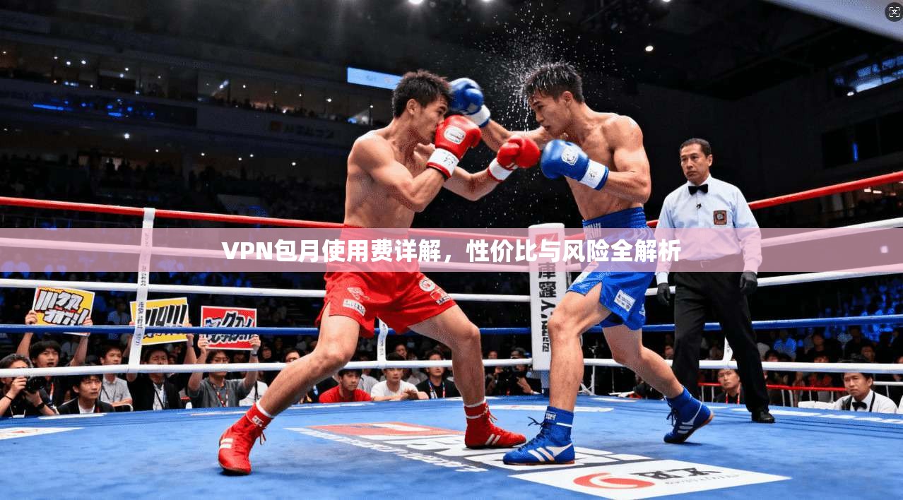 VPN包月使用费详解，性价比与风险全解析