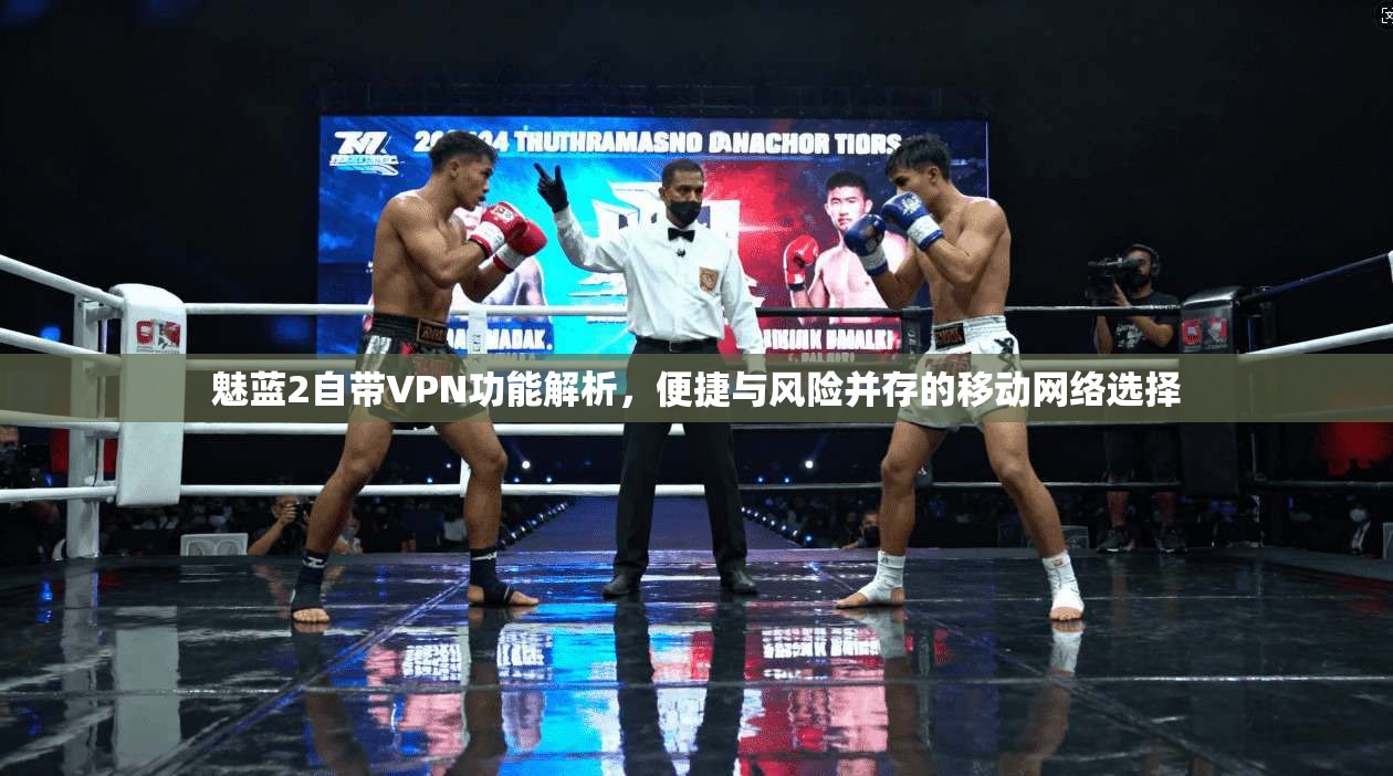 魅蓝2自带VPN功能解析,便捷与风险并存的移动网络选择