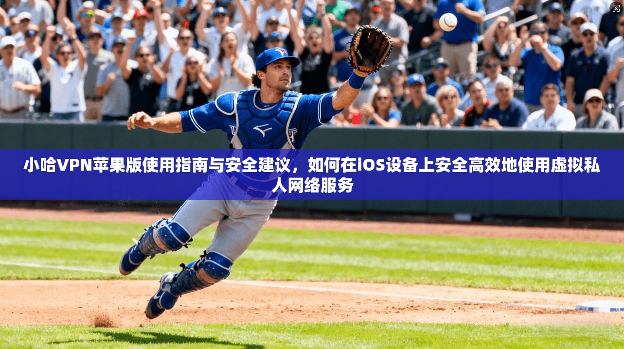 小哈VPN苹果版使用指南与安全建议，如何在iOS设备上安全高效地使用虚拟私人网络服务