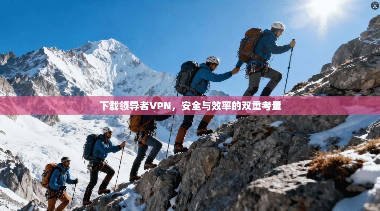 下载领导者VPN，安全与效率的双重考量