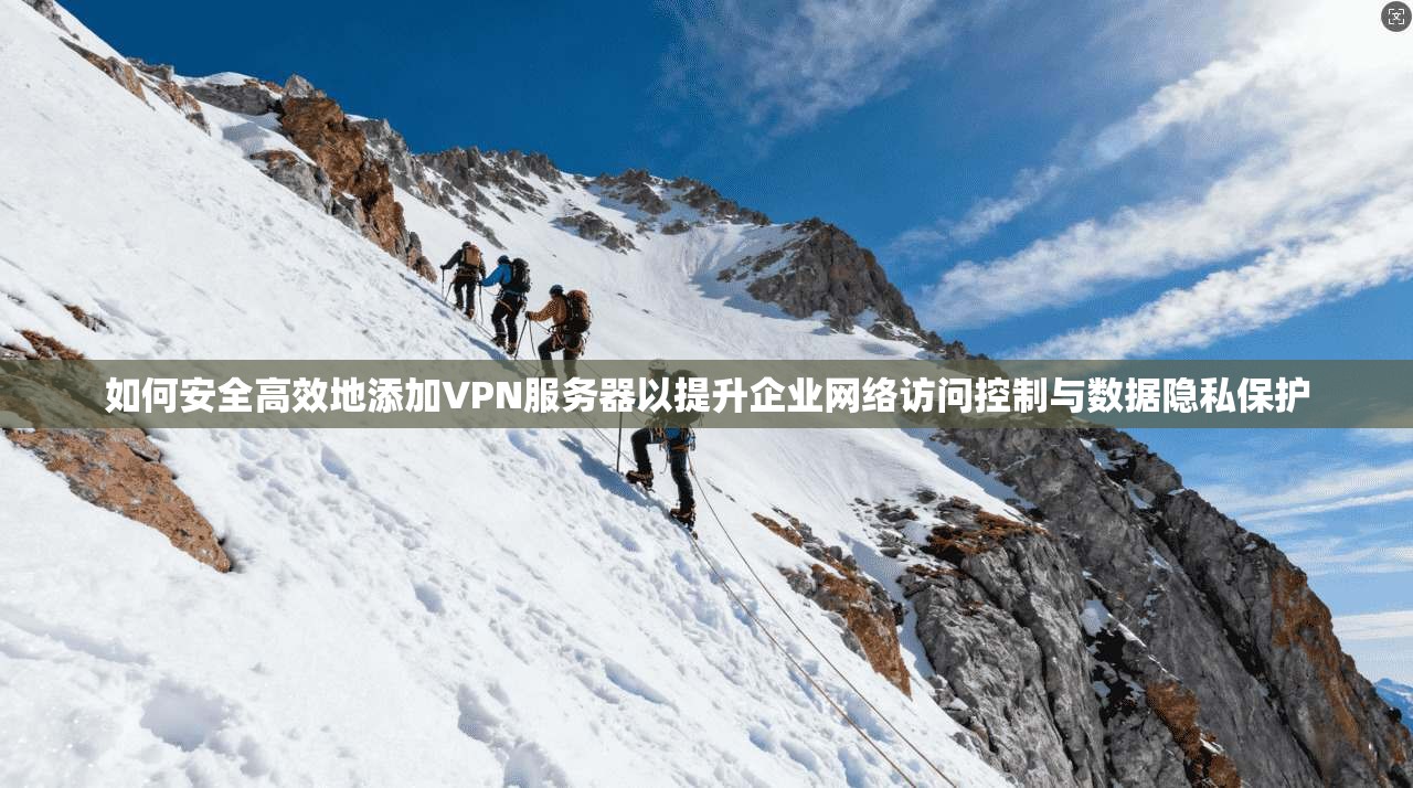 如何安全高效地添加VPN服务器以提升企业网络访问控制与数据隐私保护