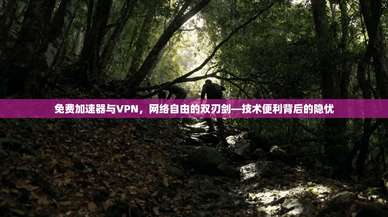 免费加速器与VPN,网络自由的双刃剑—技术便利背后的隐忧