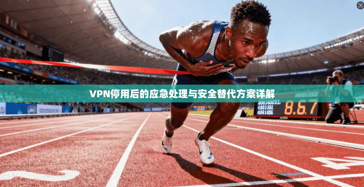 VPN停用后的应急处理与安全替代方案详解