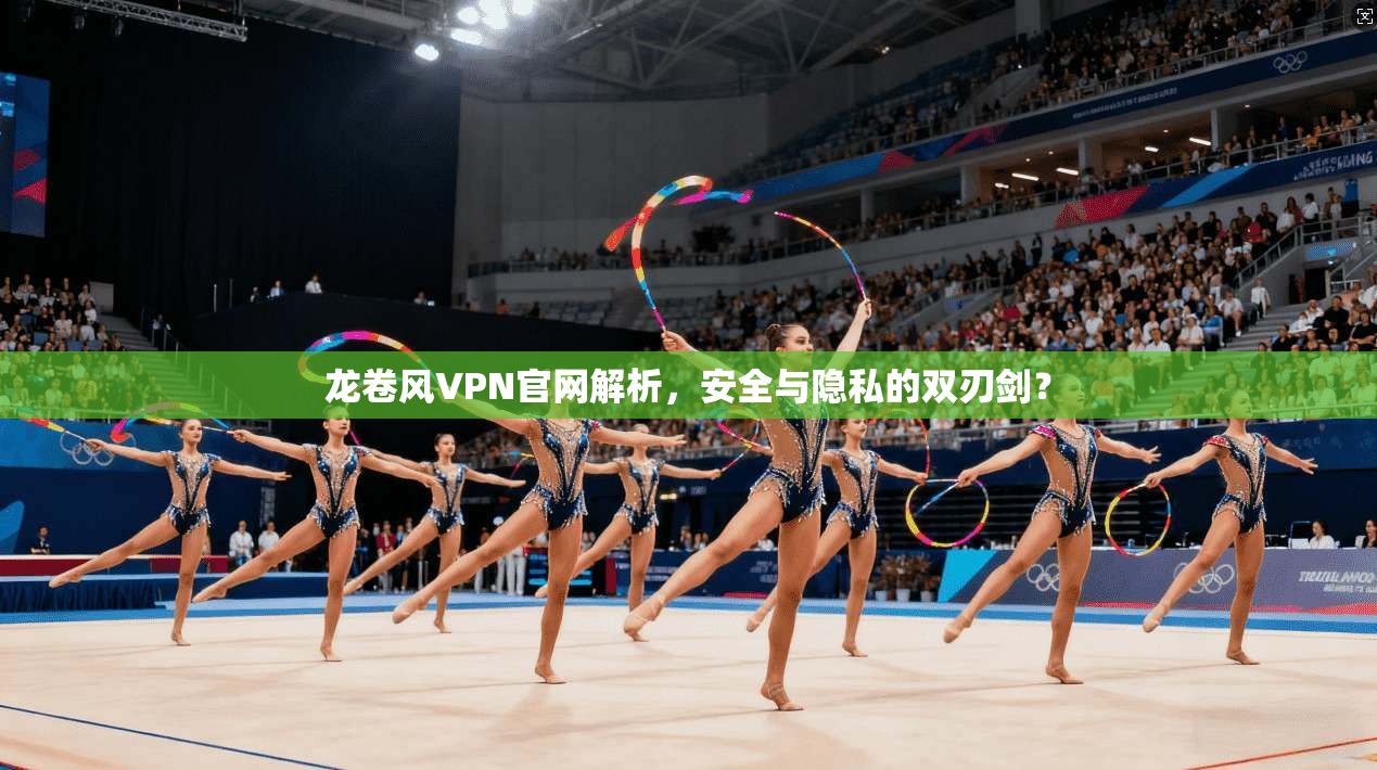 龙卷风VPN官网解析，安全与隐私的双刃剑？