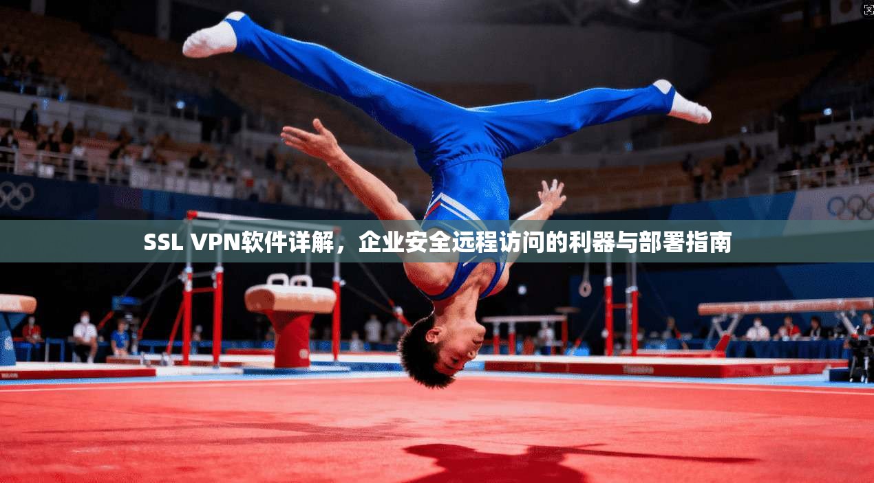 SSL VPN软件详解,企业安全远程访问的利器与部署指南 SSL VPN软件详解,企业安全远程访问的利器与部署指南