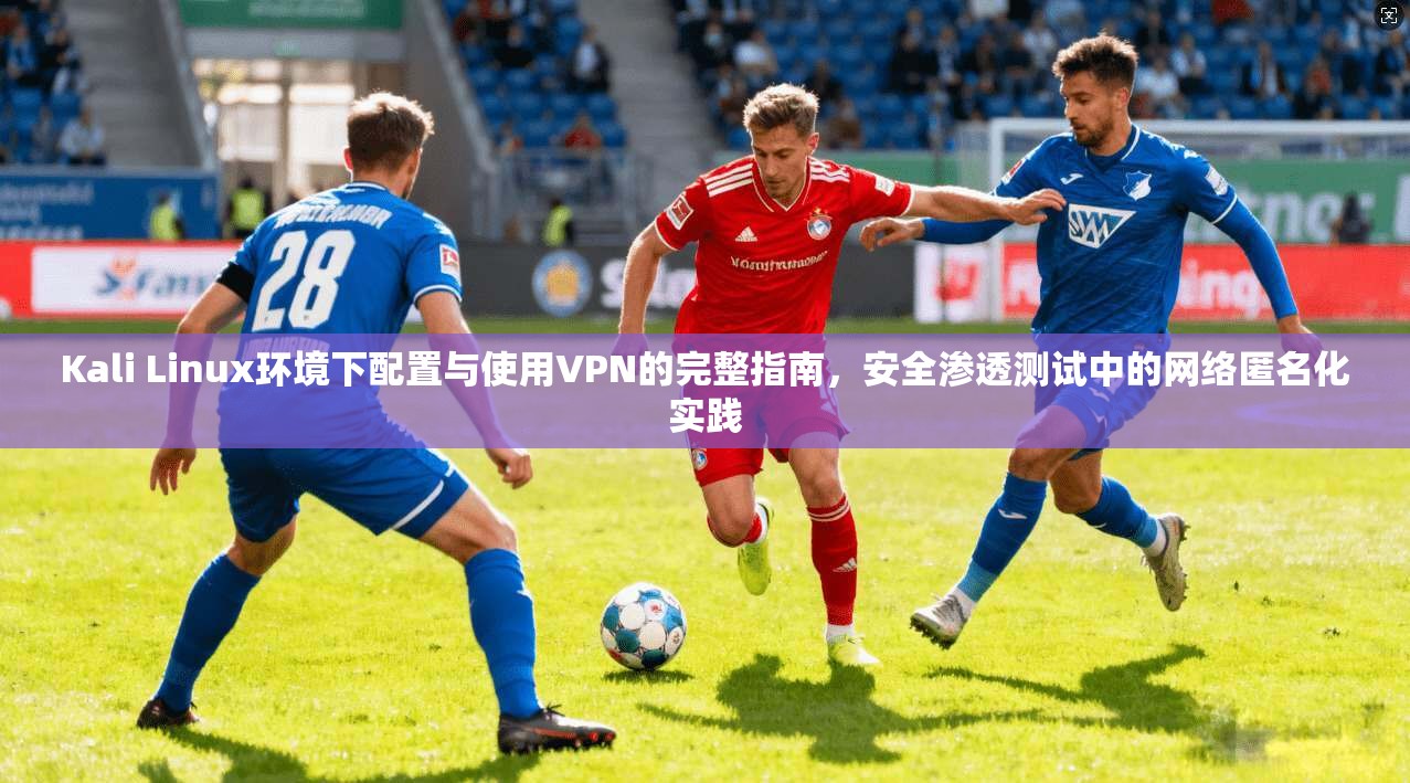 Kali Linux环境下配置与使用VPN的完整指南，安全渗透测试中的网络匿名化实践