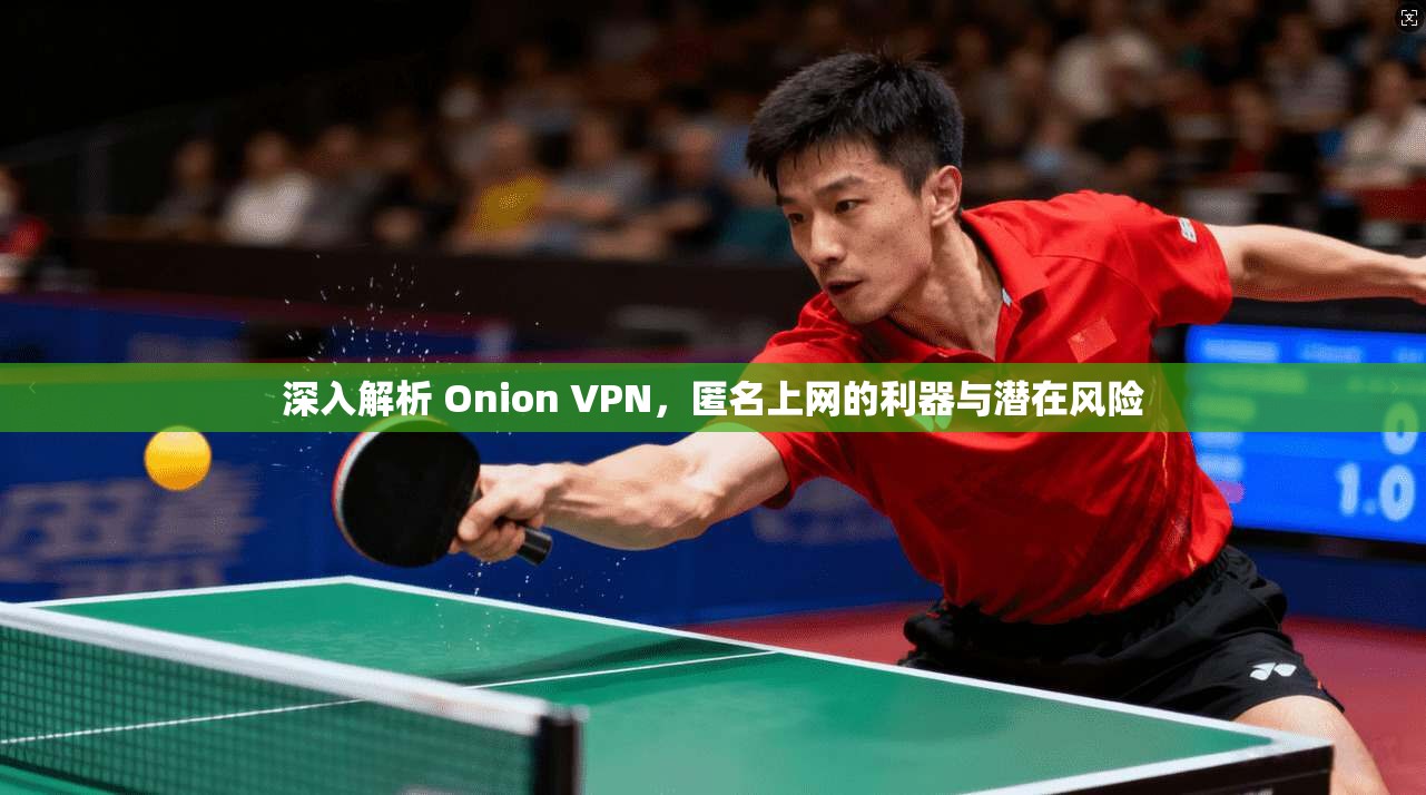 深入解析 Onion VPN，匿名上网的利器与潜在风险