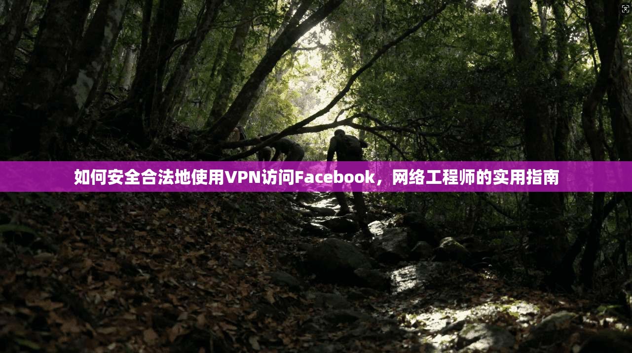 如何安全合法地使用VPN访问Facebook，网络工程师的实用指南