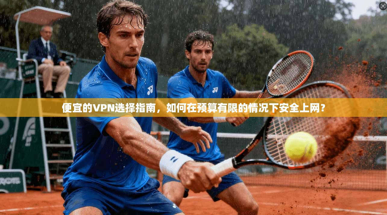 便宜的VPN选择指南，如何在预算有限的情况下安全上网？