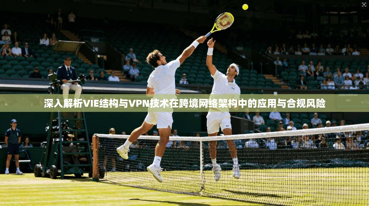 深入解析VIE结构与VPN技术在跨境网络架构中的应用与合规风险