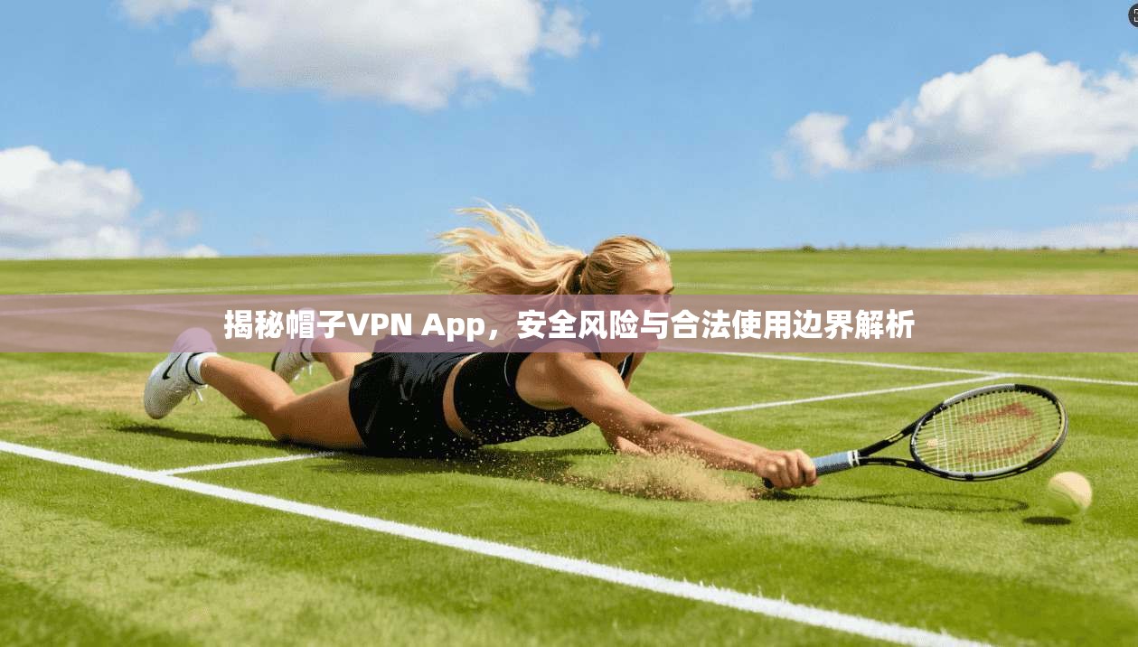 揭秘帽子VPN App，安全风险与合法使用边界解析