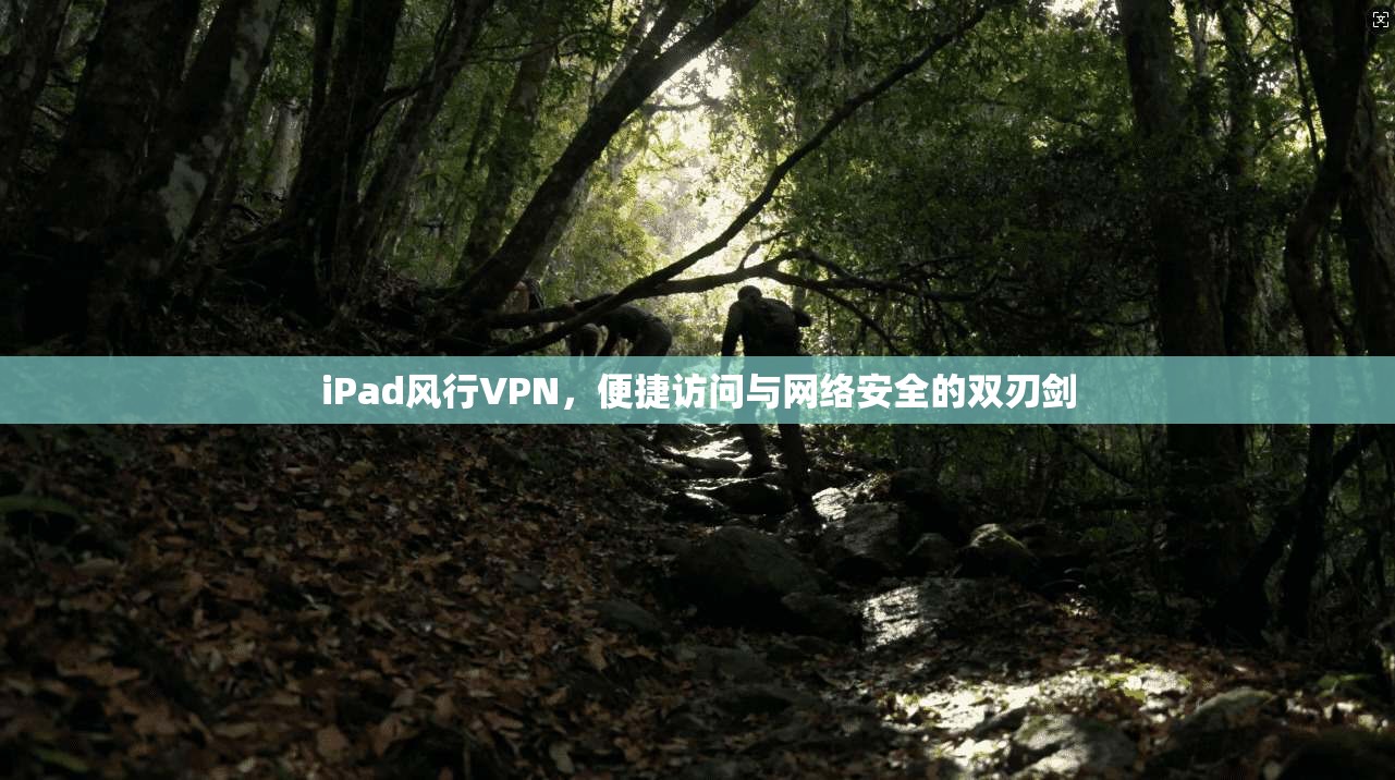 iPad风行VPN，便捷访问与网络安全的双刃剑