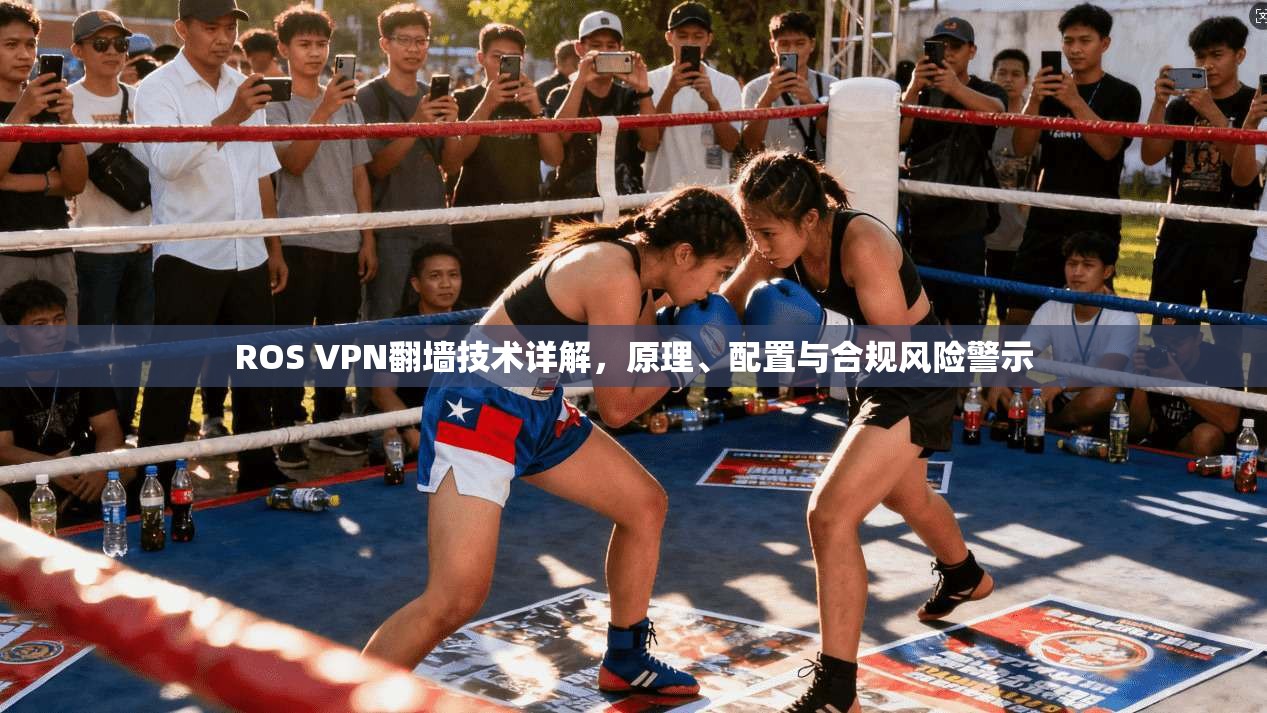 ROS VPN翻墙技术详解，原理、配置与合规风险警示