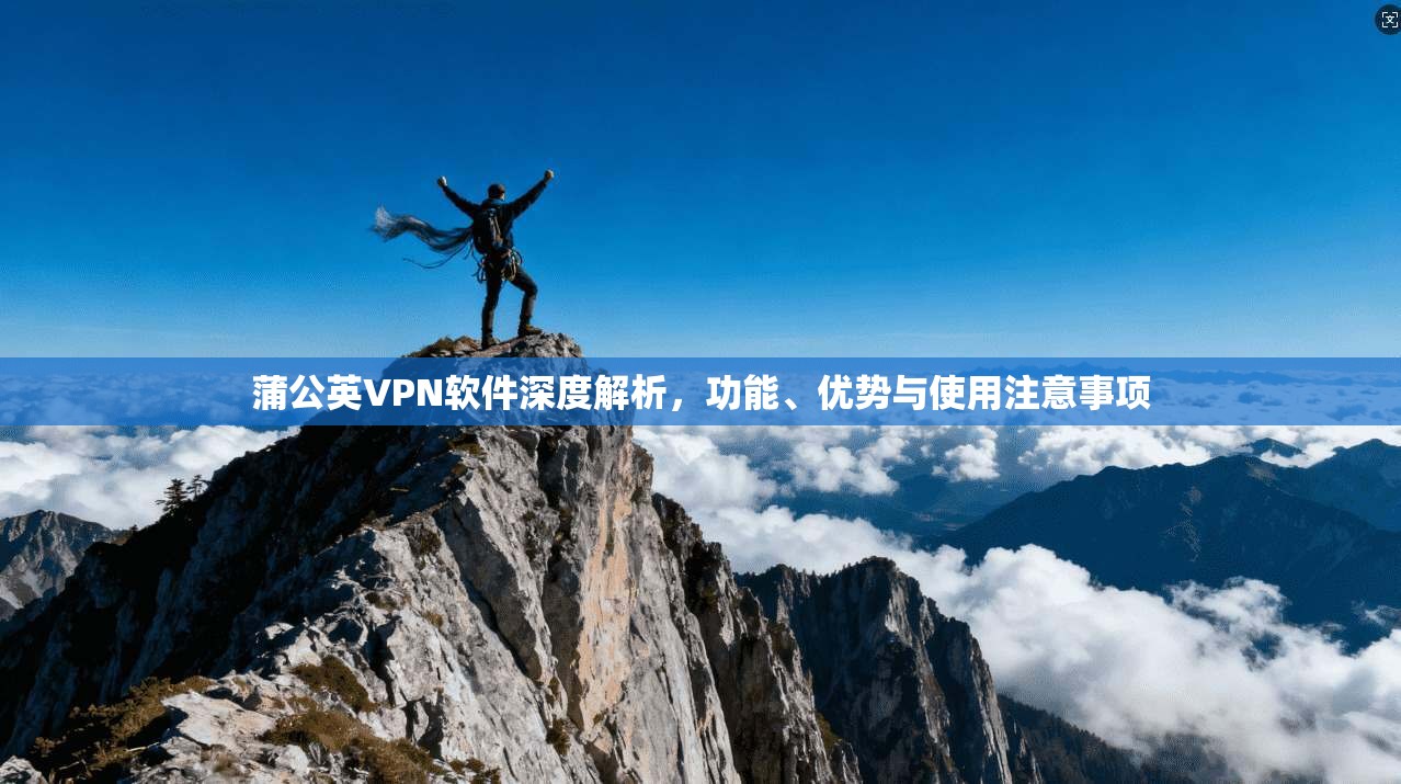 蒲公英VPN软件深度解析，功能、优势与使用注意事项
