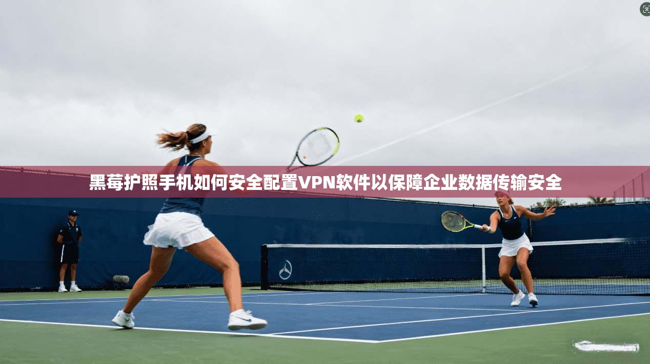 黑莓护照手机如何安全配置VPN软件以保障企业数据传输安全