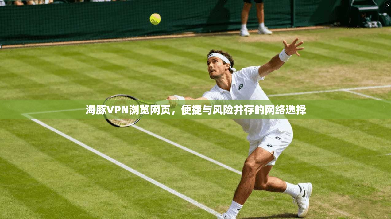 海豚VPN浏览网页，便捷与风险并存的网络选择