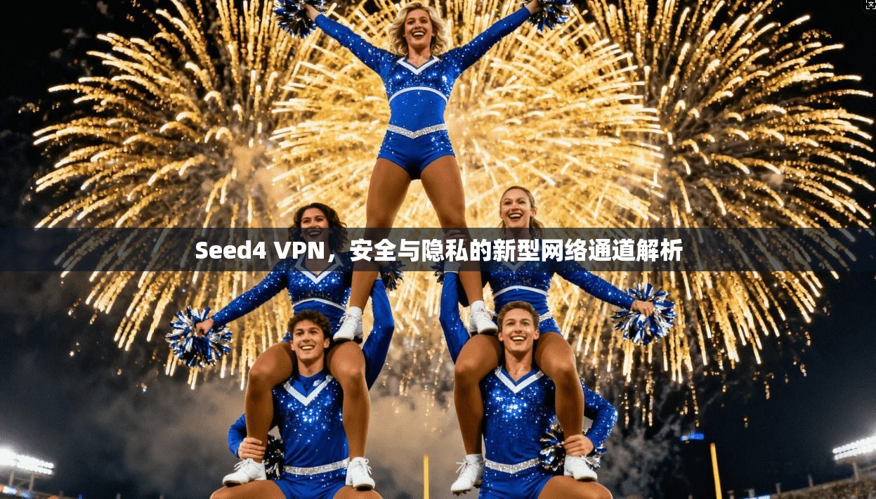 Seed4 VPN，安全与隐私的新型网络通道解析