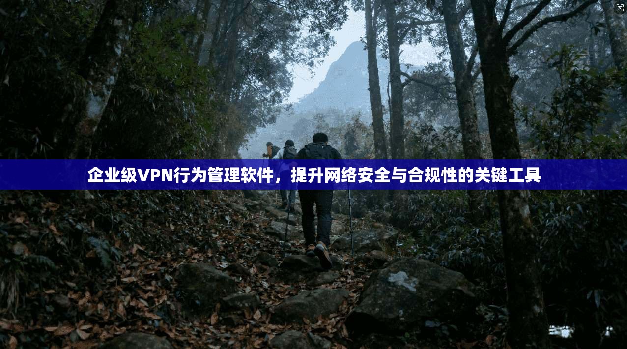 企业级VPN行为管理软件，提升网络安全与合规性的关键工具