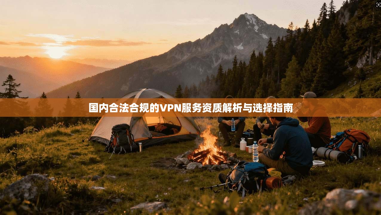国内合法合规的VPN服务资质解析与选择指南