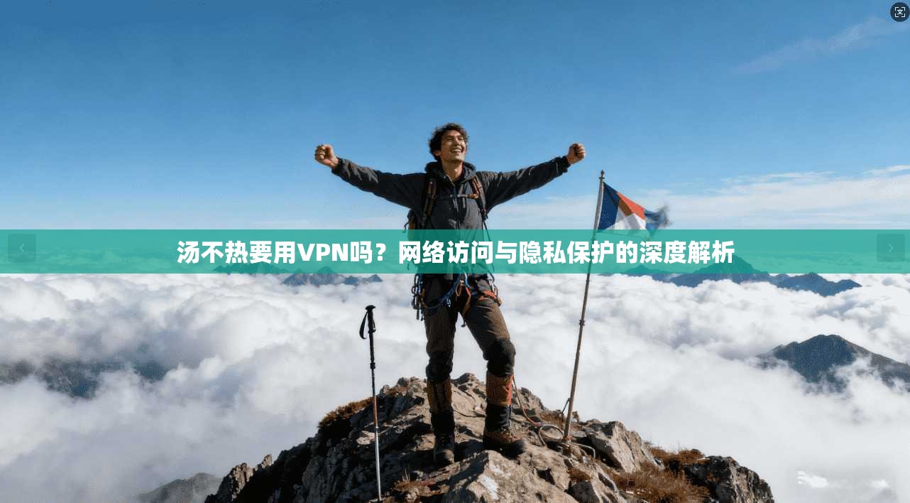 汤不热要用VPN吗？网络访问与隐私保护的深度解析