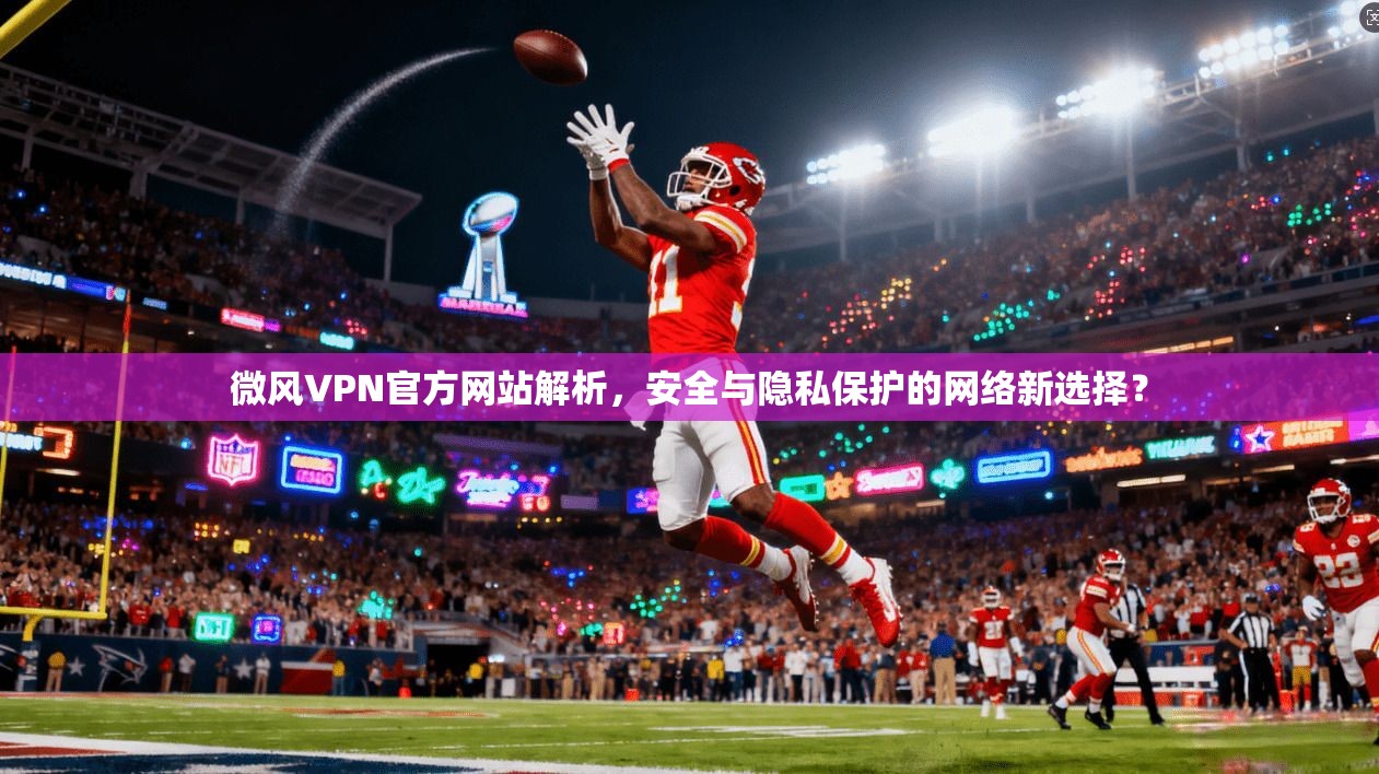 微风VPN官方网站解析，安全与隐私保护的网络新选择？