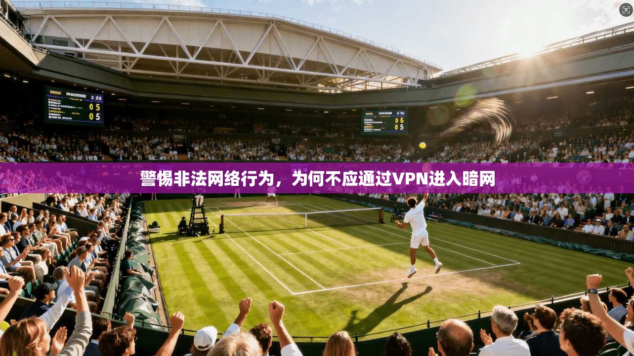 警惕非法网络行为，为何不应通过VPN进入暗网