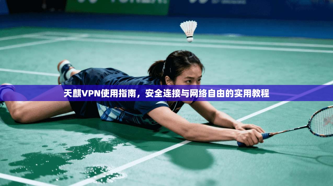 天麒VPN使用指南,安全连接与网络自由的实用教程 天麒VPN使用指南,安全连接与网络自由的实用教程