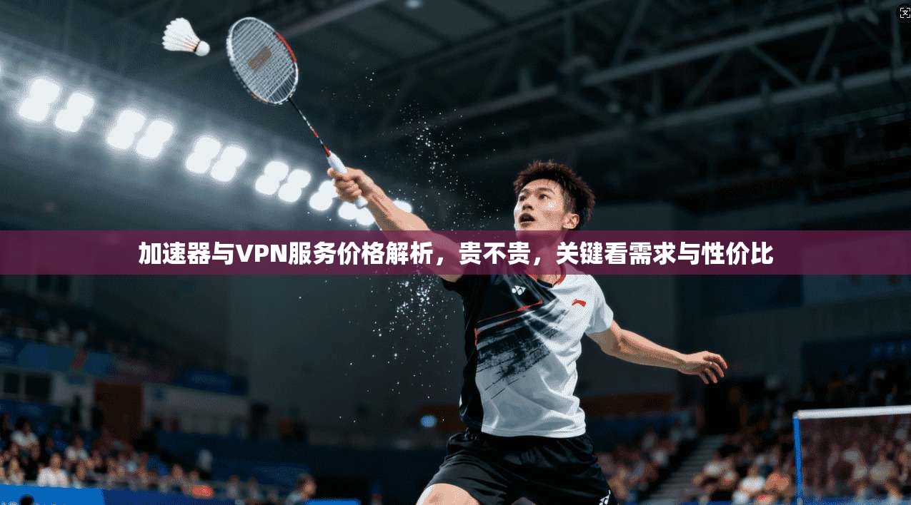 加速器与VPN服务价格解析，贵不贵，关键看需求与性价比