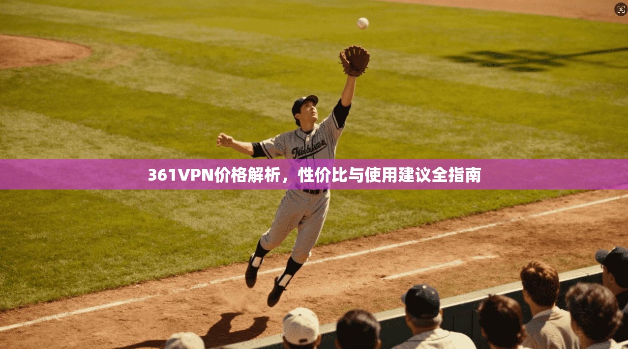 361VPN价格解析，性价比与使用建议全指南